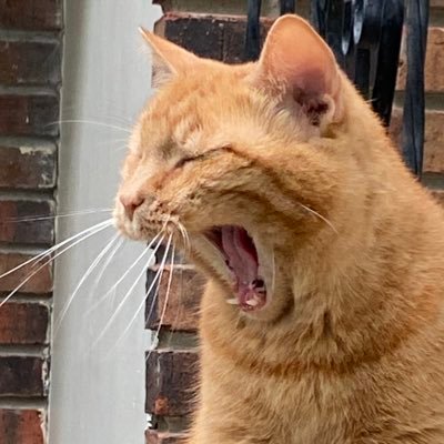 csloan89's profile picture. Just trying to live life to the fullest on limited funds. Kansas City. Boston. Nashville. Programmer. NPS lover. Democrat. VOTE BLUE up and down the ballot!