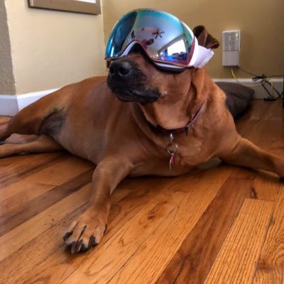 Profile Picture of Derek Rahn (@RahnDerek) on Twitter