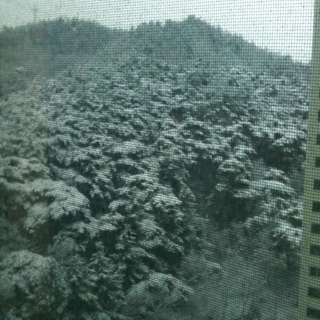 xyzal2's profile picture. 넓은 세상으로...