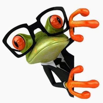 satomi_frog Profile Picture