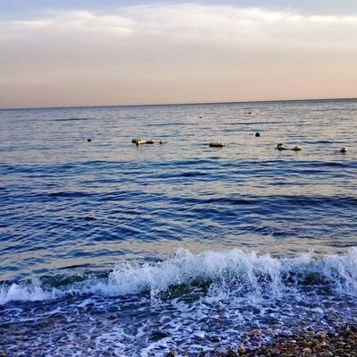 saomugoudezhure's profile picture. 