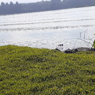 Jos53402278's profile picture. 