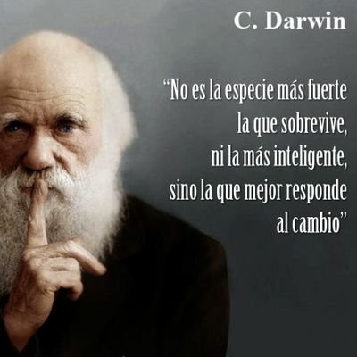 Me gusta hacer amigos. Respeto para ser respetado.
Amigos todos, Sincero y Directo. Bienvenidos.
De Guatemala 🇬🇹