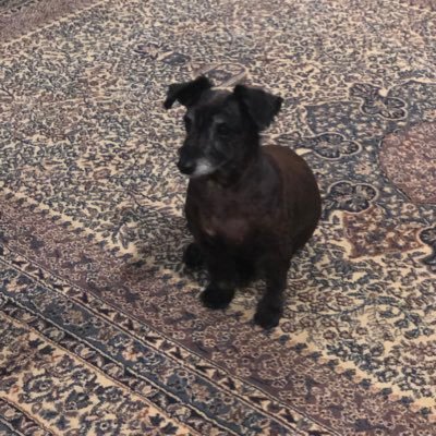 Jacklinn666's profile picture. Studying Law and Japanese.