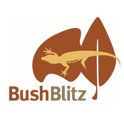 BushBlitz2 Profile Picture