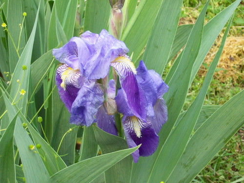 sbkennedy2569's profile picture. 