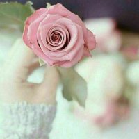 🦋 (@ma18490) 's Twitter Profile Photo