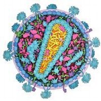 Protein Data Bank (@rcsbpdb) 's Twitter Profile