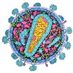 Protein Data Bank (@rcsbpdb) Twitter profile photo Protein Data Bank (@rcsbpdb) Twitter profile photo
