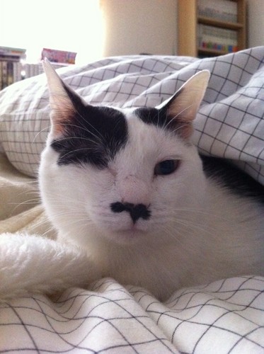 Iwatch3's profile picture. 