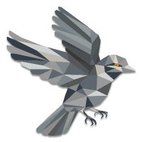 Sparrow Wallet 🐦 (@sparrowwallet) 's Twitter Profile