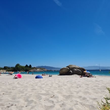 CandadoV's profile picture. 