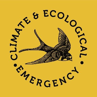 A diverse group of cultural sector declarers. We tell the Truth, take Action, seek Justice in the face of climate crisis. email: cde-kirklees@posteo.net