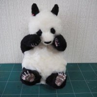 PANDA MOON (@yoshikomoon4) 's Twitter Profile Photo PANDA MOON (@yoshikomoon4) 's Twitter Profile Photo