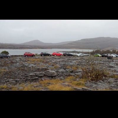 realburren's profile picture. working for a fairer Burren..calling it ECO doesn't make it so