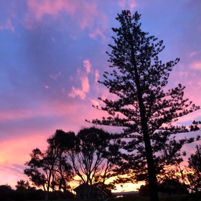 krose_katie's profile picture. Assistant Principal-Learning and Teaching