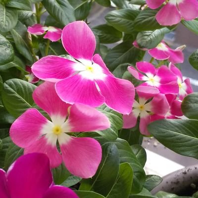 てるみん (@terumi39928) / Posts / X