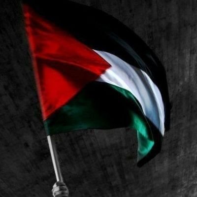 فلسطيني 
من قطاع غزة