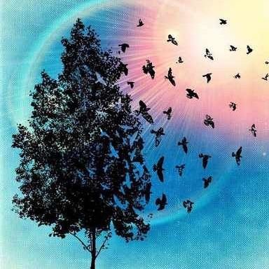 esmaeilim100's profile picture. دانشجوی ارشد محیط زیست دانشگاه شهید بهشتی