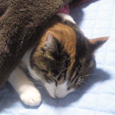 紅月 On Twitter ぬから始まる映画といえば 思い付かなかったね 考えても出てくるの ぬ ーべ とか ぬらりひょんの孫 とかアニメ系だった 笑