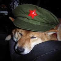 qwite.bsky.social (@qwite___) 's Twitter Profile