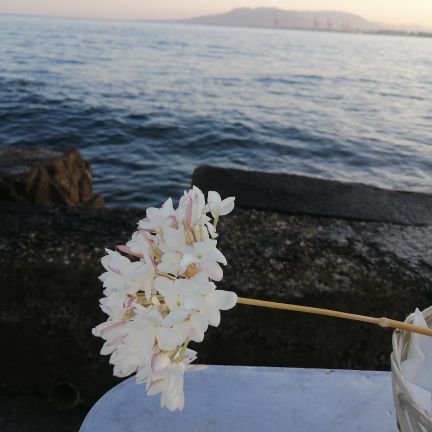 AnaViei10621389's profile picture. 