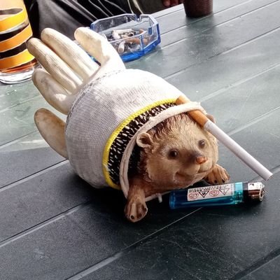 michaalek48's profile picture. 