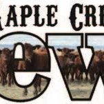 Maple Creek News is a weekly newspaper published Thursdays. The Advance Times is a weekly newspaper published Tuesdays.