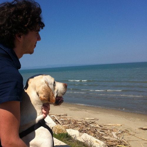 aleziggymarley's profile picture. 