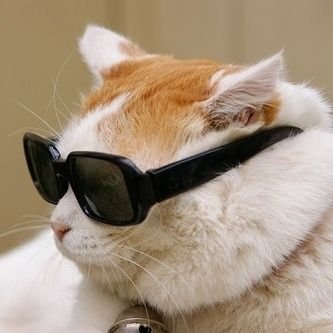 Concernedcatpawsさんのプロフィール画像