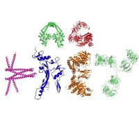 KreyLab (@kreylab) 's Twitter Profile Photo KreyLab (@kreylab) 's Twitter Profile Photo