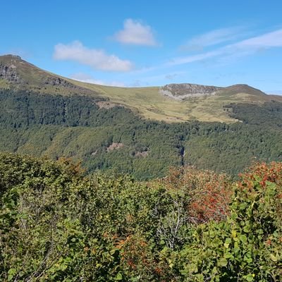 Starfish doctor. Traveller - on foot whenever possible. Co-founder of Scancell Holdings plc. Maison secondaire en Aveyron.