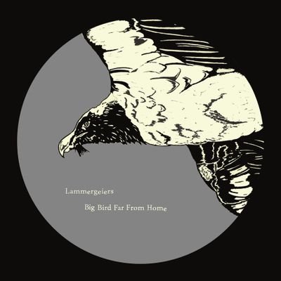 A collective of Manchester based musicians, Lammergeiers represent a rebellion against a world where music is about the destination not the journey