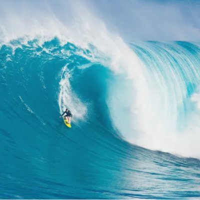 stocksurfing's profile picture. 