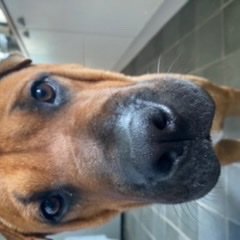 iamthatiambitxh's profile picture. I’m just here to fuck with your dopamine 😉