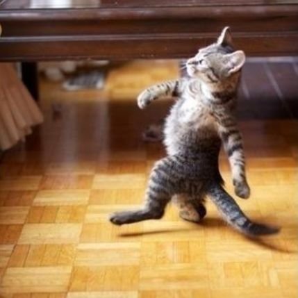 abellgodawgs's profile picture. 