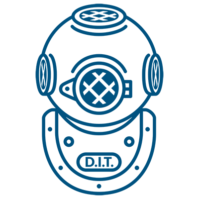 Divers Institute Profile