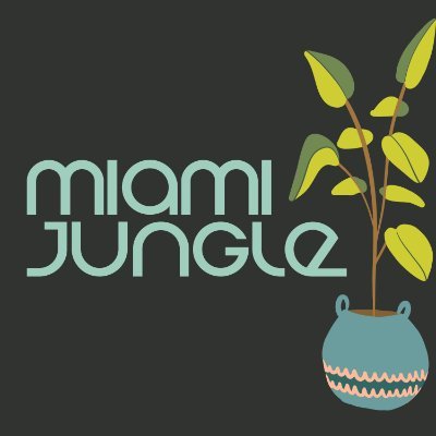 Discover the Urban Jungle In Miami, Florida! 50+ indoor plants in a 564sq ft studio.