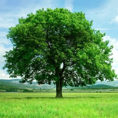 FaustinaNnadi's profile picture. Nice, calm and lovely