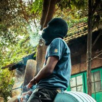 Bird_Of_My_Own (@theetroubleman2) 's Twitter Profile