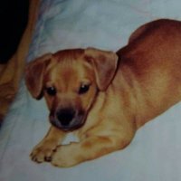 L (@lward1234) 's Twitter Profile