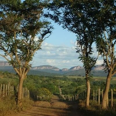 dolabane's profile picture. 