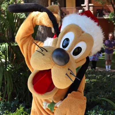 ハワイアンディズニー代行 グッズ ディズニーリゾート ミニーちゃんお花ヘアバンド 販売中です お値段 各2 000円 ご希望の方は購入代行させていただきます ミニーヘアバンド ディズニーヘアバンド ヘアバンド ミニーちゃん お花 ヘア