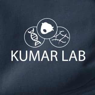 Kumar Lab, UC Berkeley Profile