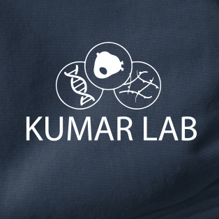 Lab of Prof. Sanjay Kumar, @QB3Berkeley Director. Dissecting, modeling, and controlling biology with materials & mechanics 
#GBM #StemCells #Mechanobiology