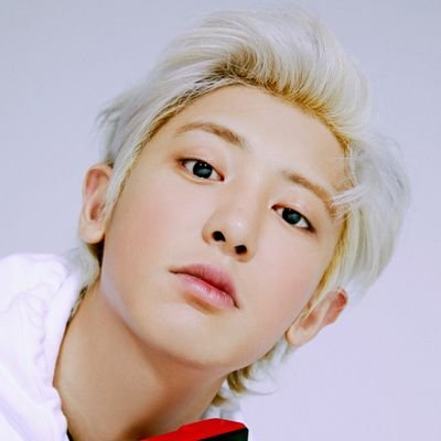 evertwicevelt's profile picture. 