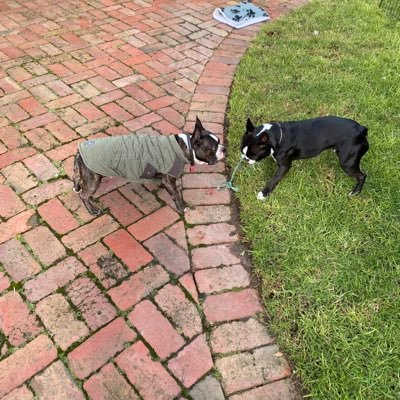 LeighMac87's profile picture. 