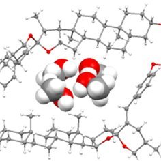 Having fun with Bioactive Steroids, Spiroketals,  Steroid Dimers, Molecular Rotors, Multicomponent Reacts, Hypervalent Iodine Chemistry, Au/Pd Catalysis, NMR.