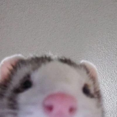 Vero11903411's profile picture. 