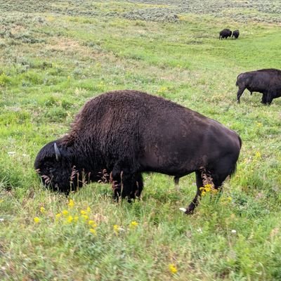 criticalhooker's profile picture. I know chemistry